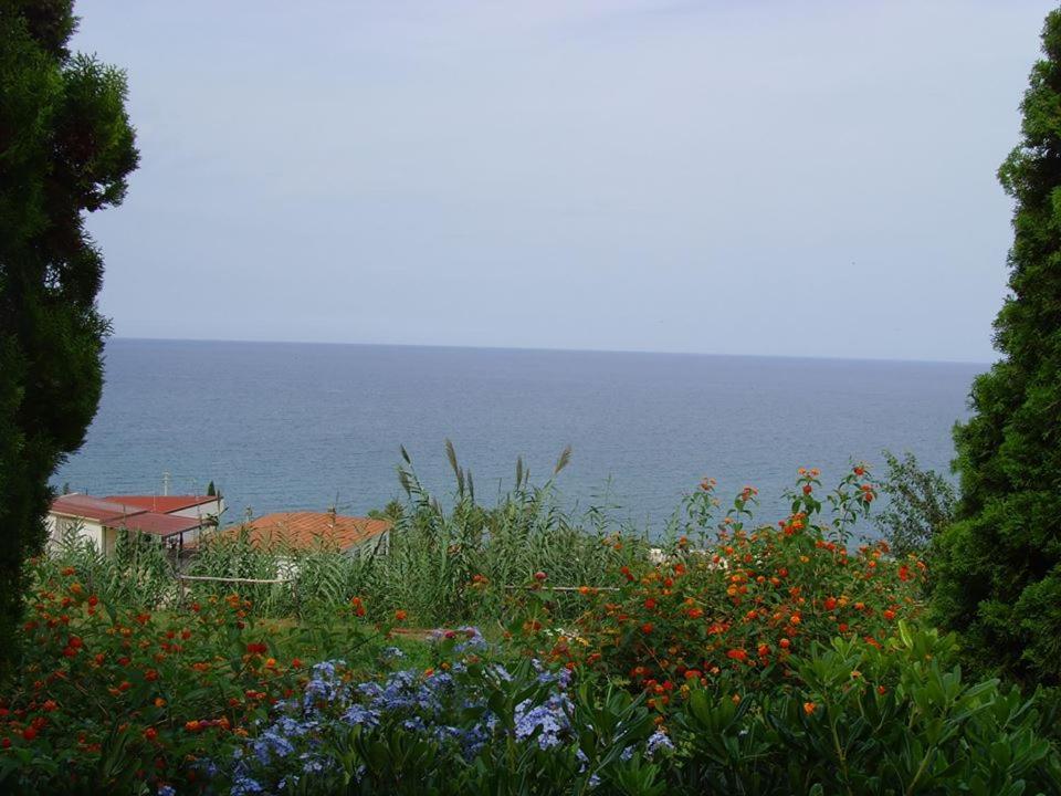Case Vacanze Con Piscina Altavilla Milicia Exterior foto